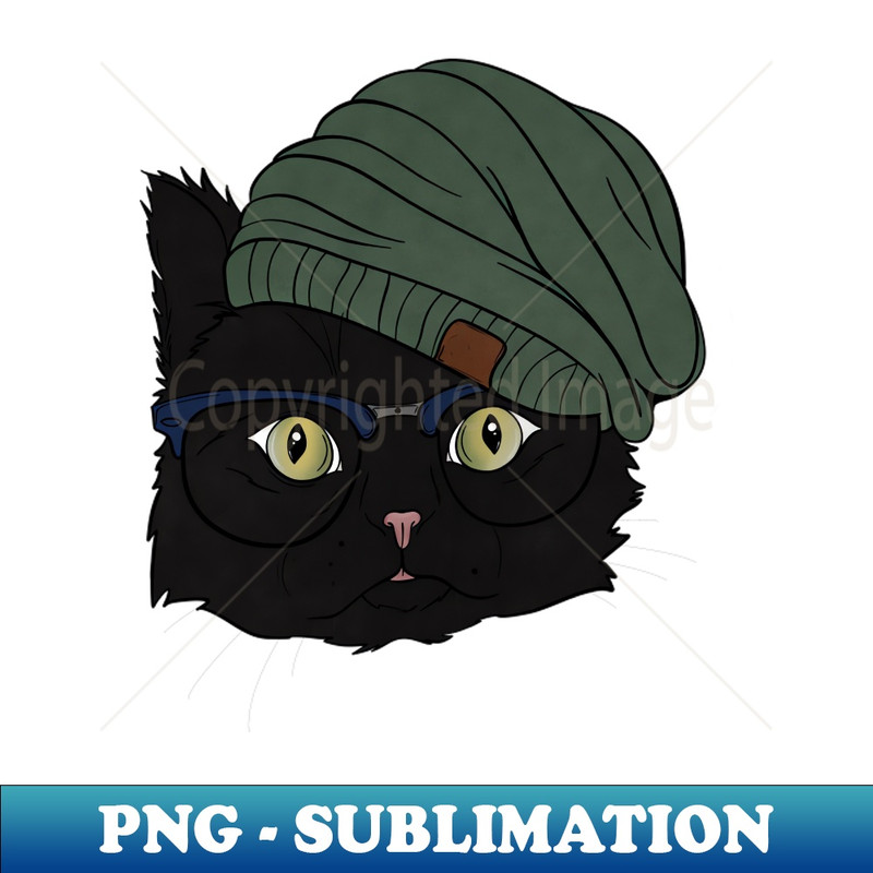 HV-8781_Cool Cat 5408.jpg