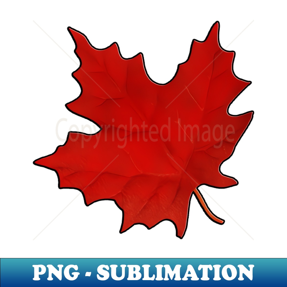 HY-29949_Red Maple Leaf 2054.jpg