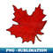 HY-29949_Red Maple Leaf 2054.jpg