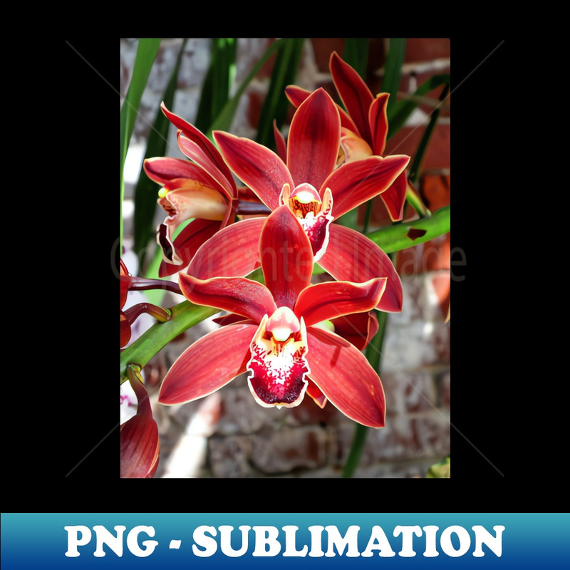 HZ-21500_Key West Orchid 1587.jpg