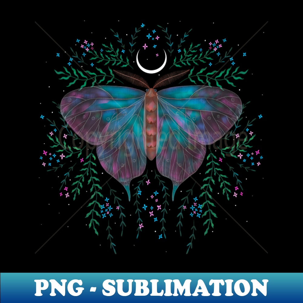 IB-23669_Magical Moth Sequel 4 1269.jpg