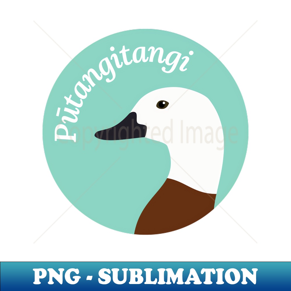 IC-26287_New Zealand Bird  Ptangitangi  Paradise Shelduck 3301.jpg