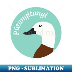 new zealand bird  ptangitangi  paradise shelduck - png transparent sublimation design - fashionable and fearless