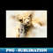 ID-22886_Lion Lion Cub Wild Animal Safari Africa Jungle 5529.jpg