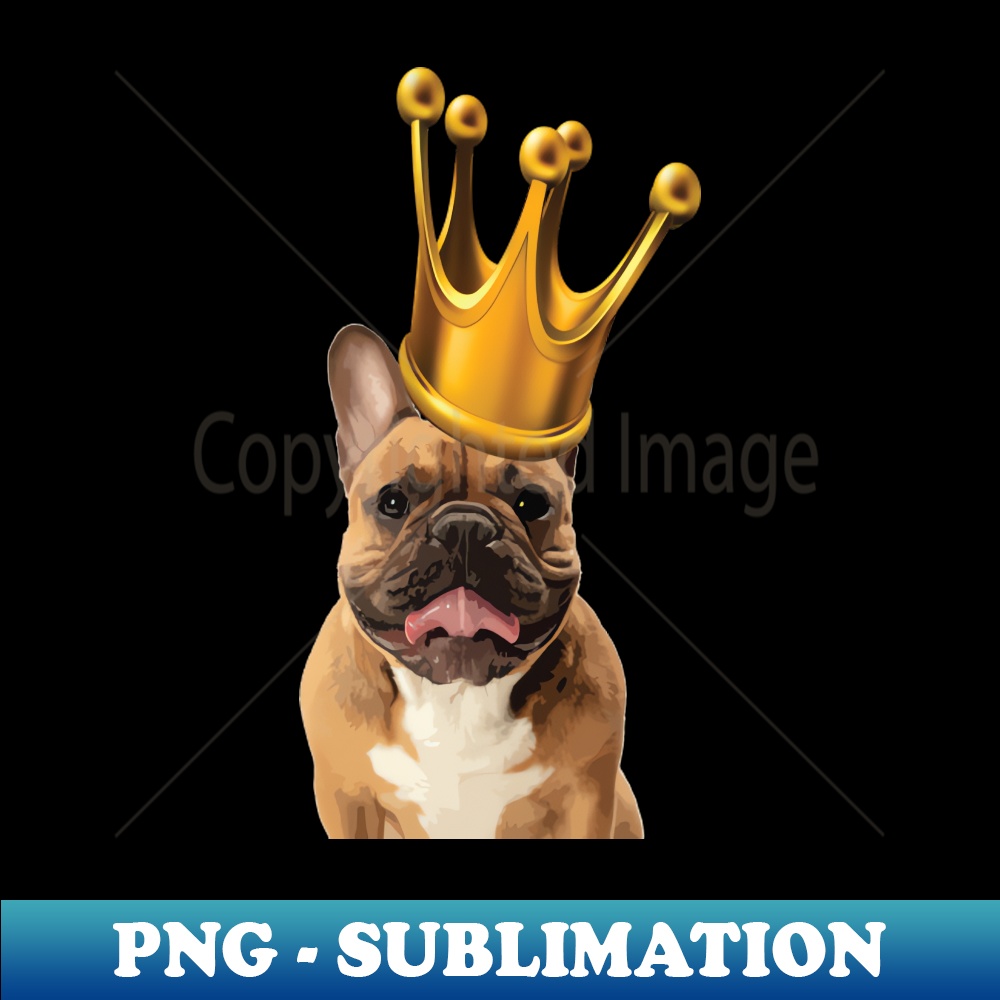 IF-11707_DOGGY KING 8648.jpg