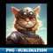 IW-6988_Cat with amor hat 7456.jpg