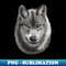 JJ-16423_Grey female Wolf 7134.jpg