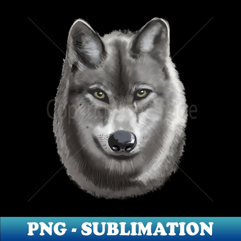 JJ-16423_Grey female Wolf 7134.jpg