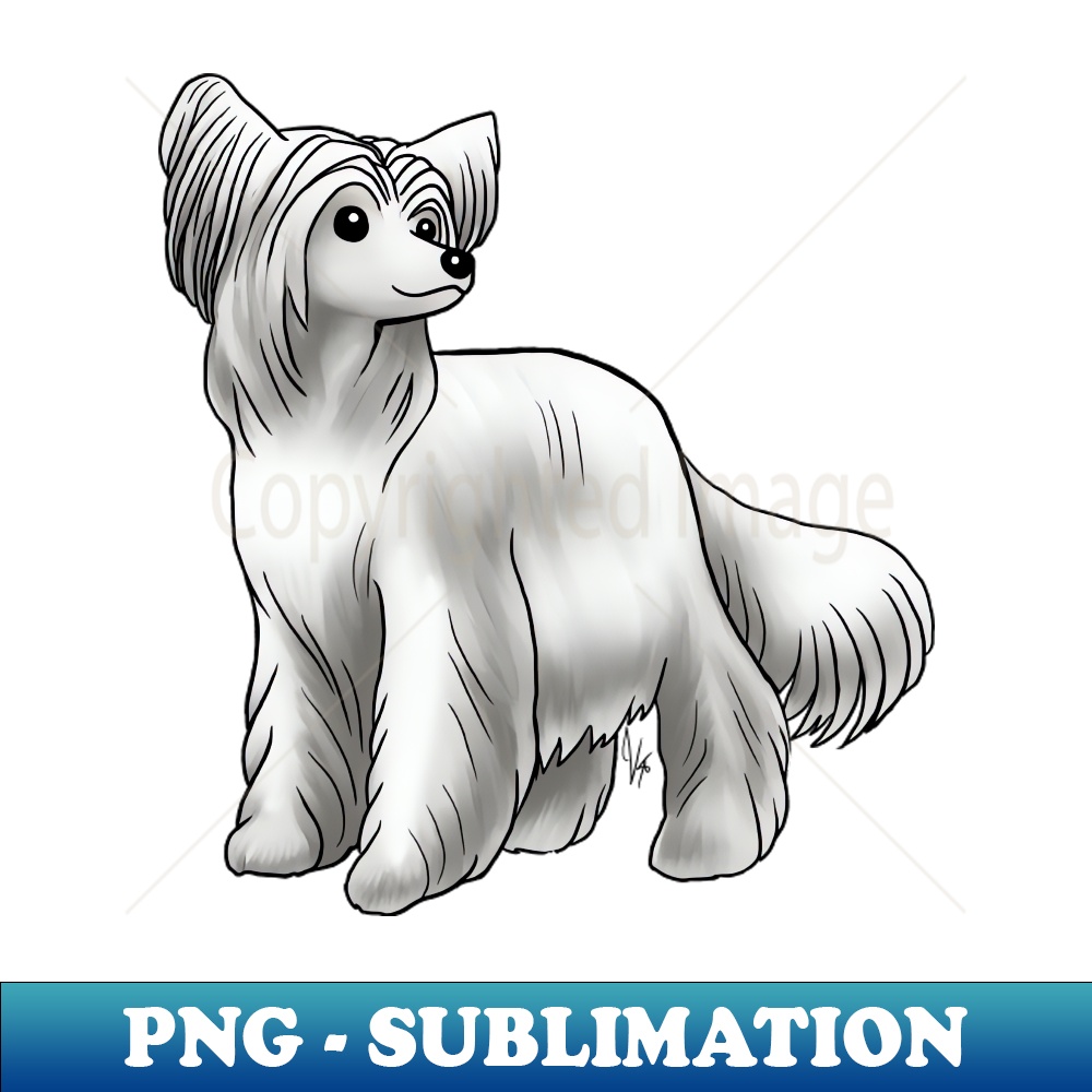 JS-11520_Dog - Chinese Crested - Powderpuff - White 9512.jpg