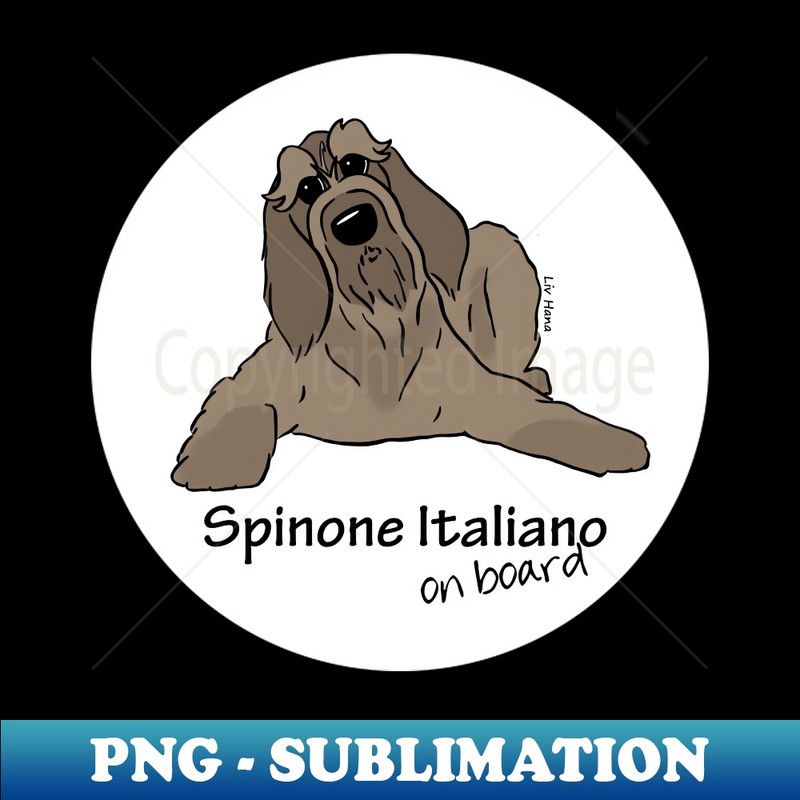 JU-33328_Spinone Italiano on board 1249.jpg