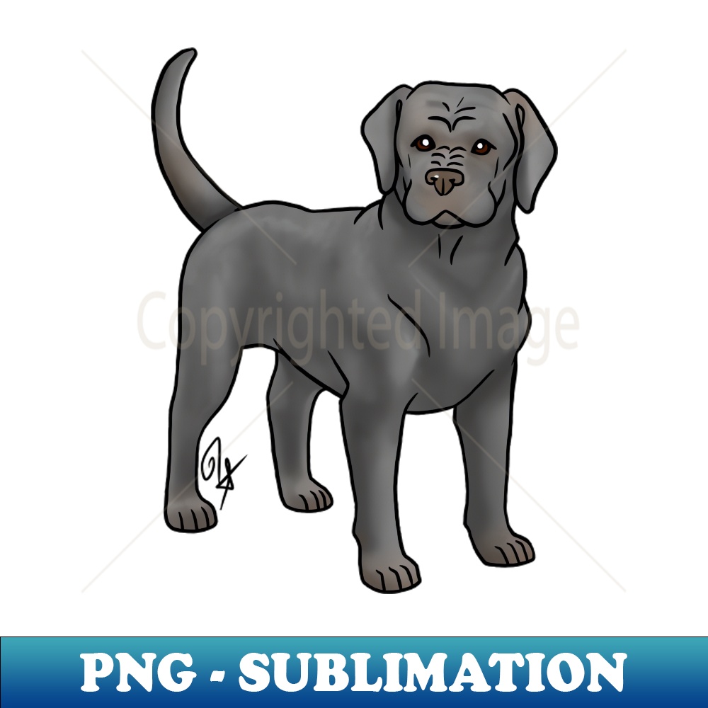 JX-11512_Dog - Cane Corso - Natural Gray 6410.jpg