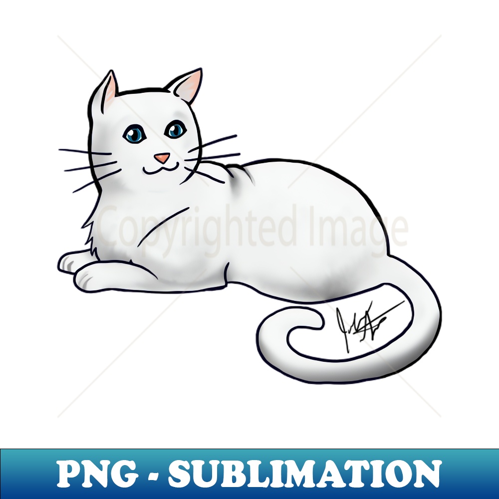 JZ-6788_Cat - American Shorthair - White 4545.jpg