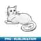 JZ-6788_Cat - American Shorthair - White 4545.jpg