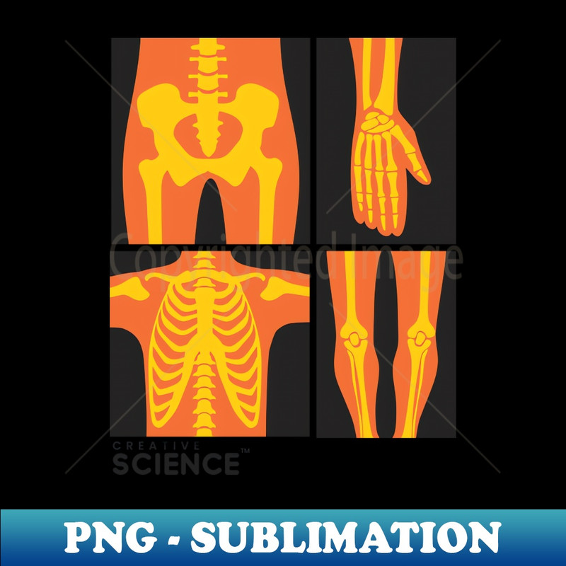 KF-24291_Medicine Orange X-Ray 9835.jpg
