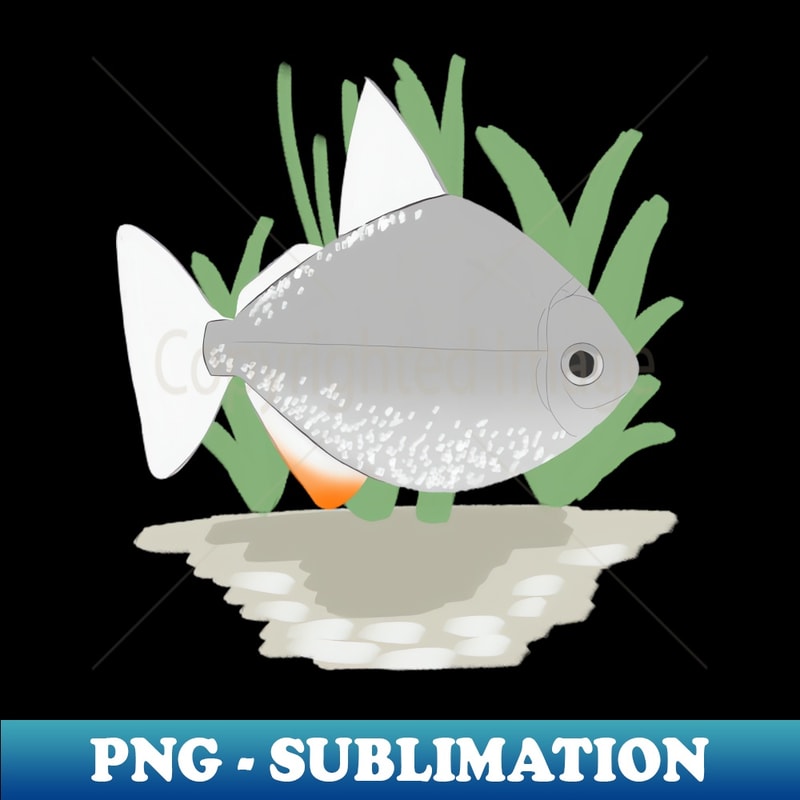 KH-32259_silver dollar fish 4025.jpg