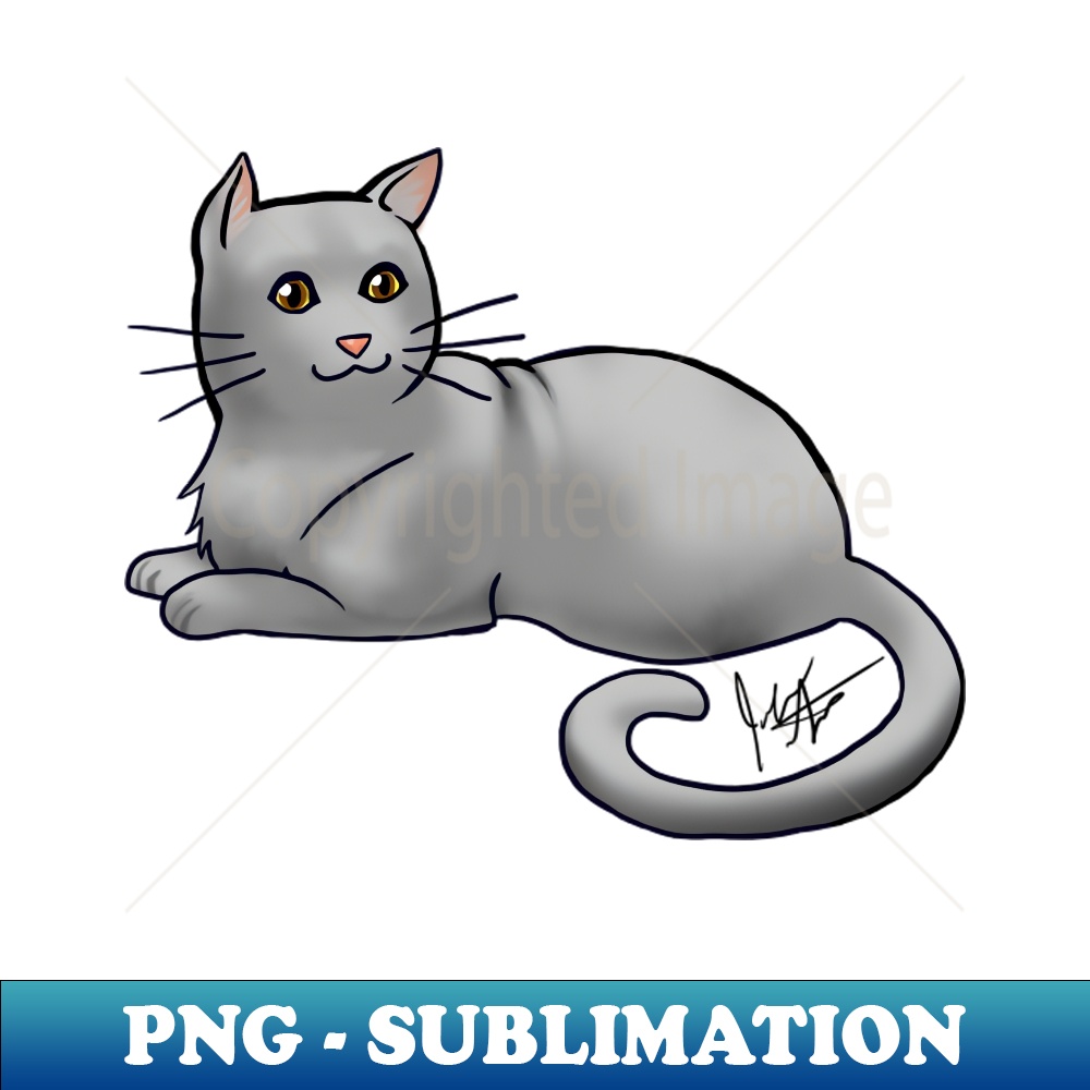 KZ-6785_Cat - American Shorthair - Gray 1444.jpg