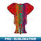 LC-29600_Rainbow Red Elephant on Black V2 2066.jpg