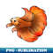 LQ-13917_Fish - Betta Fish - Gold 2066.jpg