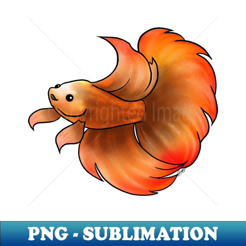 LQ-13917_Fish - Betta Fish - Gold 2066.jpg