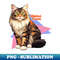 MA-23703_Maine Coon Cute 1179.jpg