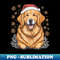 MD-707_A Golden Retriever Wearing a Christmas Hat Golden Retriever Christmas 7933.jpg