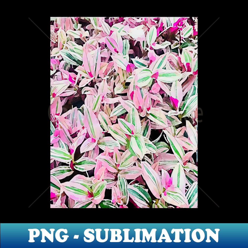 MK-37027_Tradescantia tricolor pattern 9665.jpg