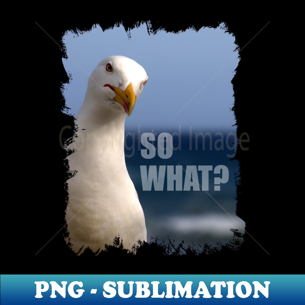 ML-32921_So what 3685.jpg