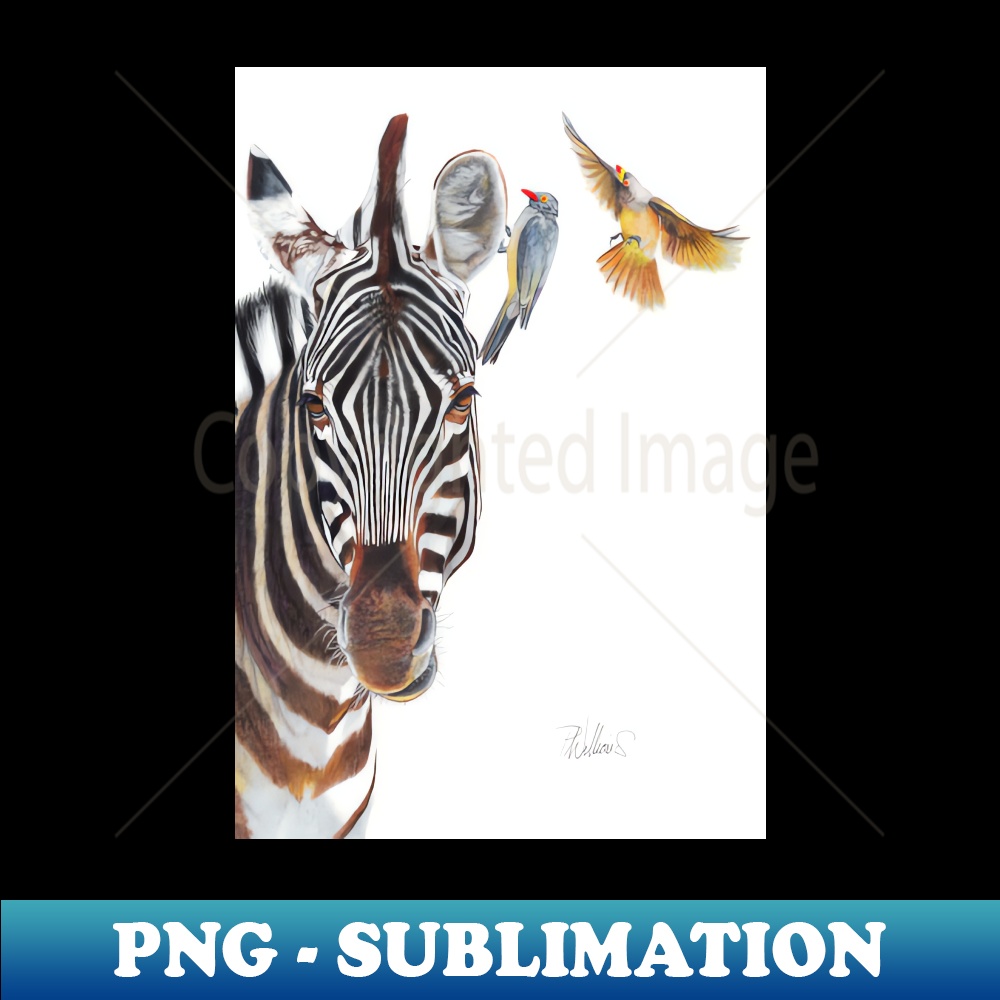 MN-18118_Horse Whisperer - zebra coloured pencil drawing 7387.jpg
