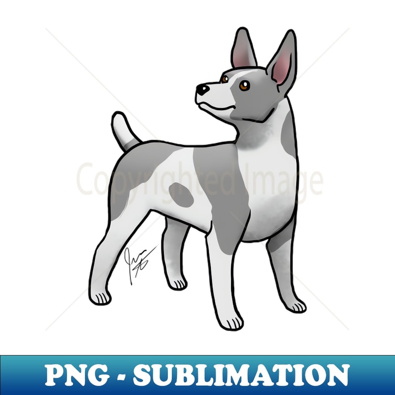 NG-11601_Dog - Rat Terrier - Black and Pearl 7207.jpg