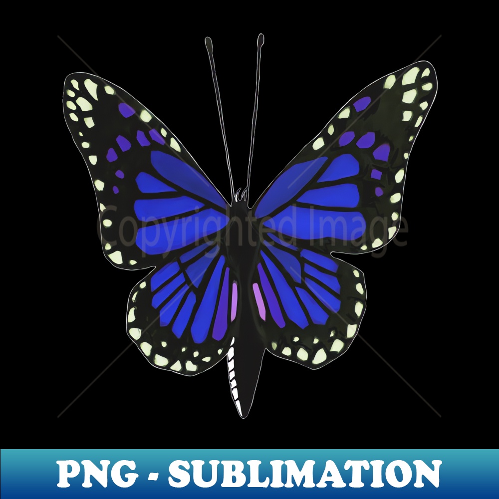 NH-6132_Butterfly 02c transparent background 8178.jpg
