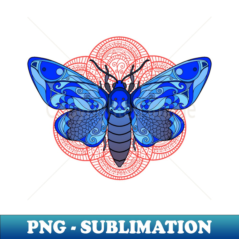 NK-5110_Blue Moth 6427.jpg