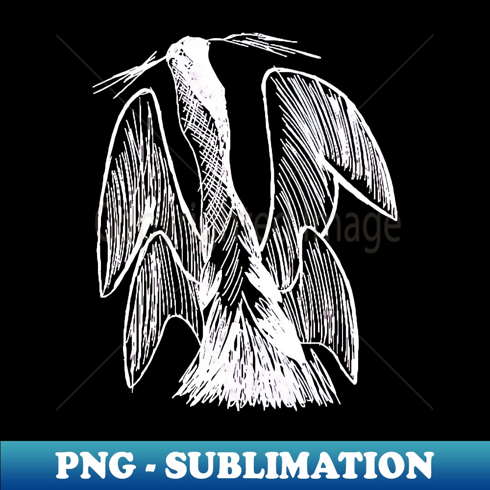 NO-17014_Hand Drawn Morning Draconid White Version 7270.jpg