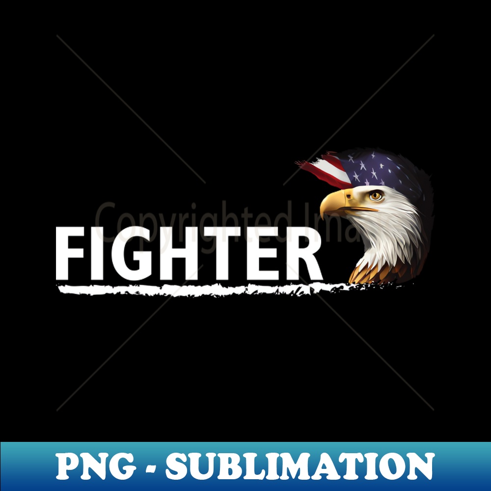 NR-13772_Fighter Spirit Of American 4583.jpg