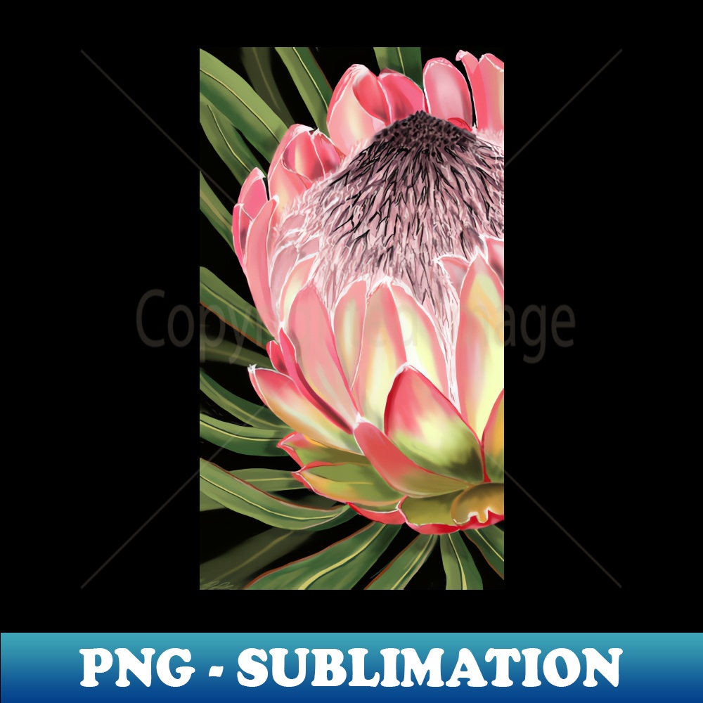 NR-28991_Protea 8647.jpg