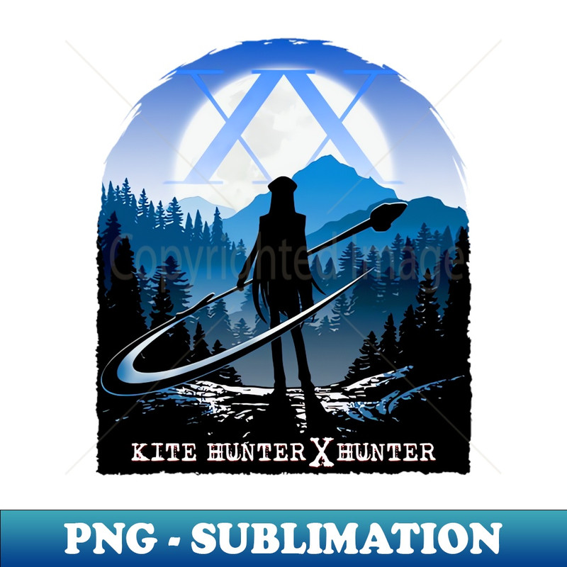 NS-18310_Hunter X Hunter Adventure 1117.jpg