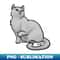NS-6814_Cat - Eurpoean Shorthair - Gray 7012.jpg