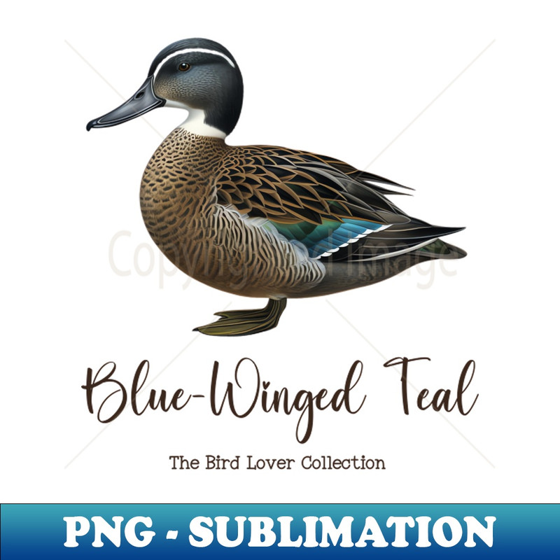 NT-5146_Blue-Winged Teal - The Bird Lover Collection 3640.jpg