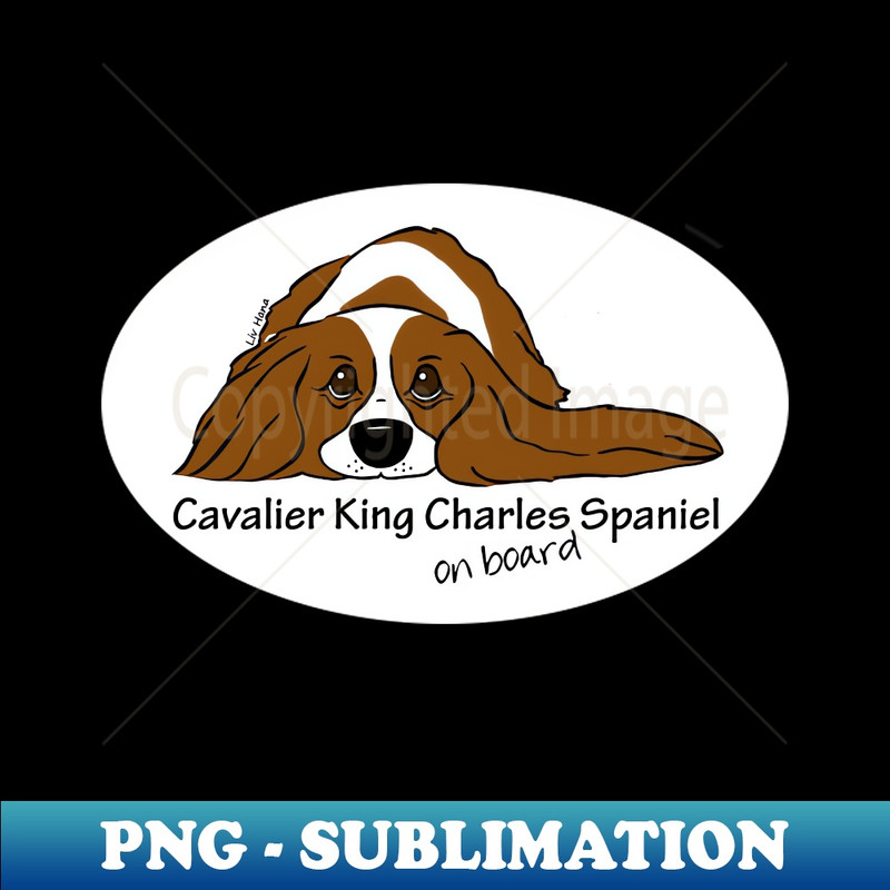 NY-7066_Cavalier King Charles Spaniel on board 5860.jpg