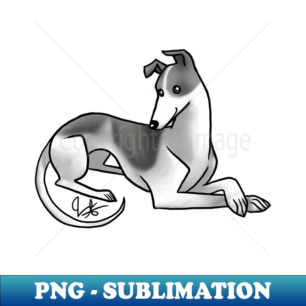 OD-11548_Dog - Greyhound - Black and White 2557.jpg