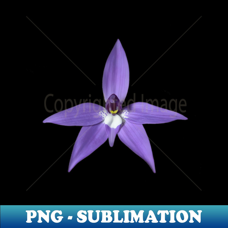 OF-27202_Orchid flower on blue 3 2012.jpg