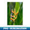 OQ-37231_Tropical Heliconia Floral Photography 3691.jpg