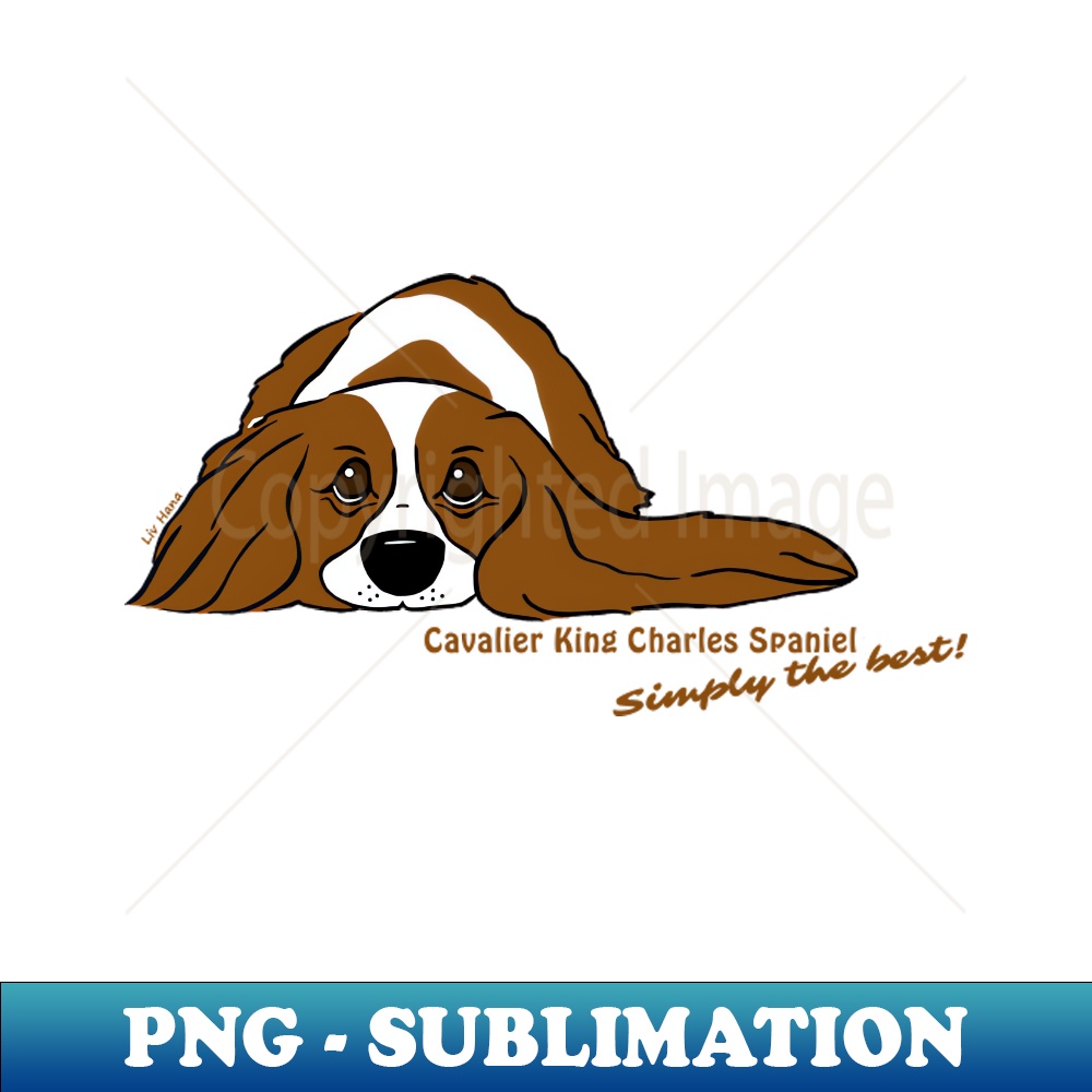 OQ-7063_Cavalier King Charles Spaniel  - Simply the best 7877.jpg