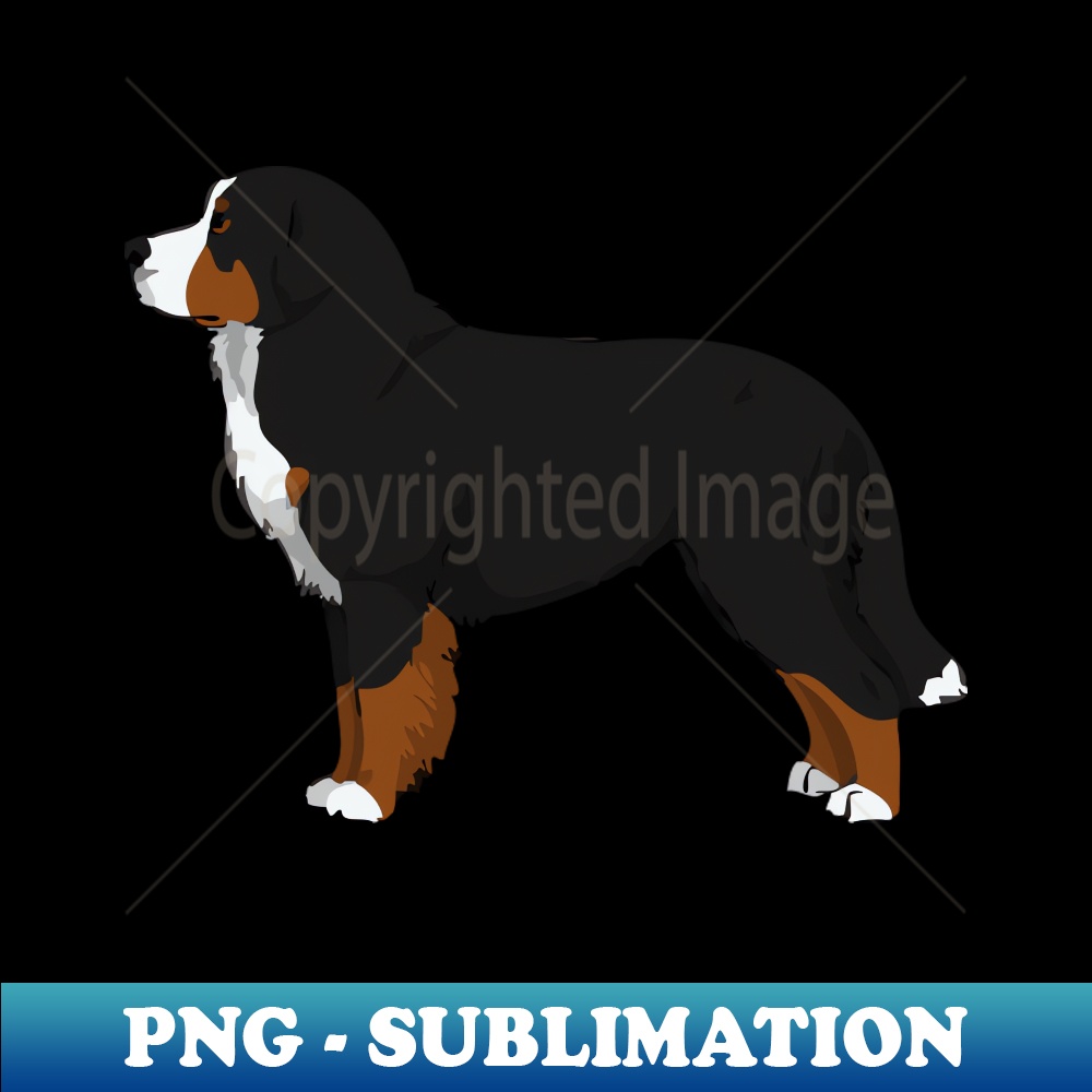 PI-4269_Bernese Mountain Dog 5784.jpg