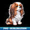PK-7065_Cavalier King Charles Spaniel dog 3592.jpg
