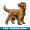 PO-11556_Dog - Irish Setter - Red 1966.jpg