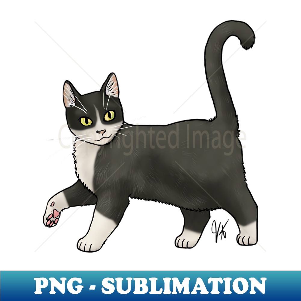 PO-6806_Cat - Cyprus - Tuxedo 6502.jpg