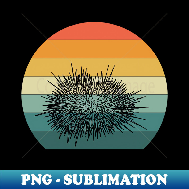 PT-31767_Sea urchin Retro Vintage Funny humor Sea urchins Cute Cool Art Design Lovers 9792.jpg