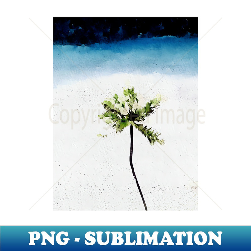 PZ-8318_Coconut palm tree on the beach 6014.jpg