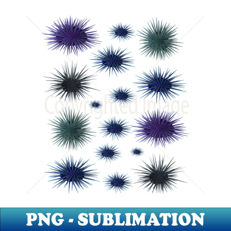 QJ-31763_Sea urchin Funny humor Sea urchins Cute Cool Art Design Lovers 6924.jpg