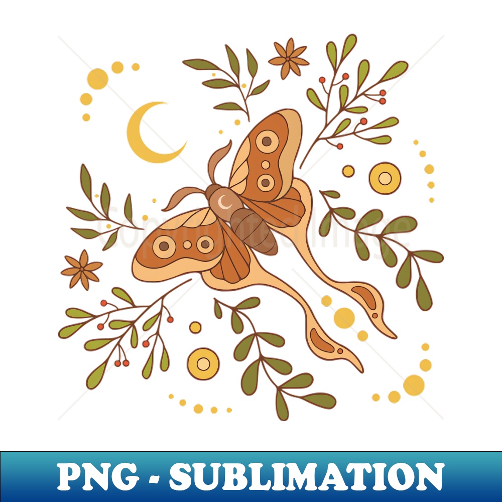 QP-10854_Decorative moth 2612.jpg